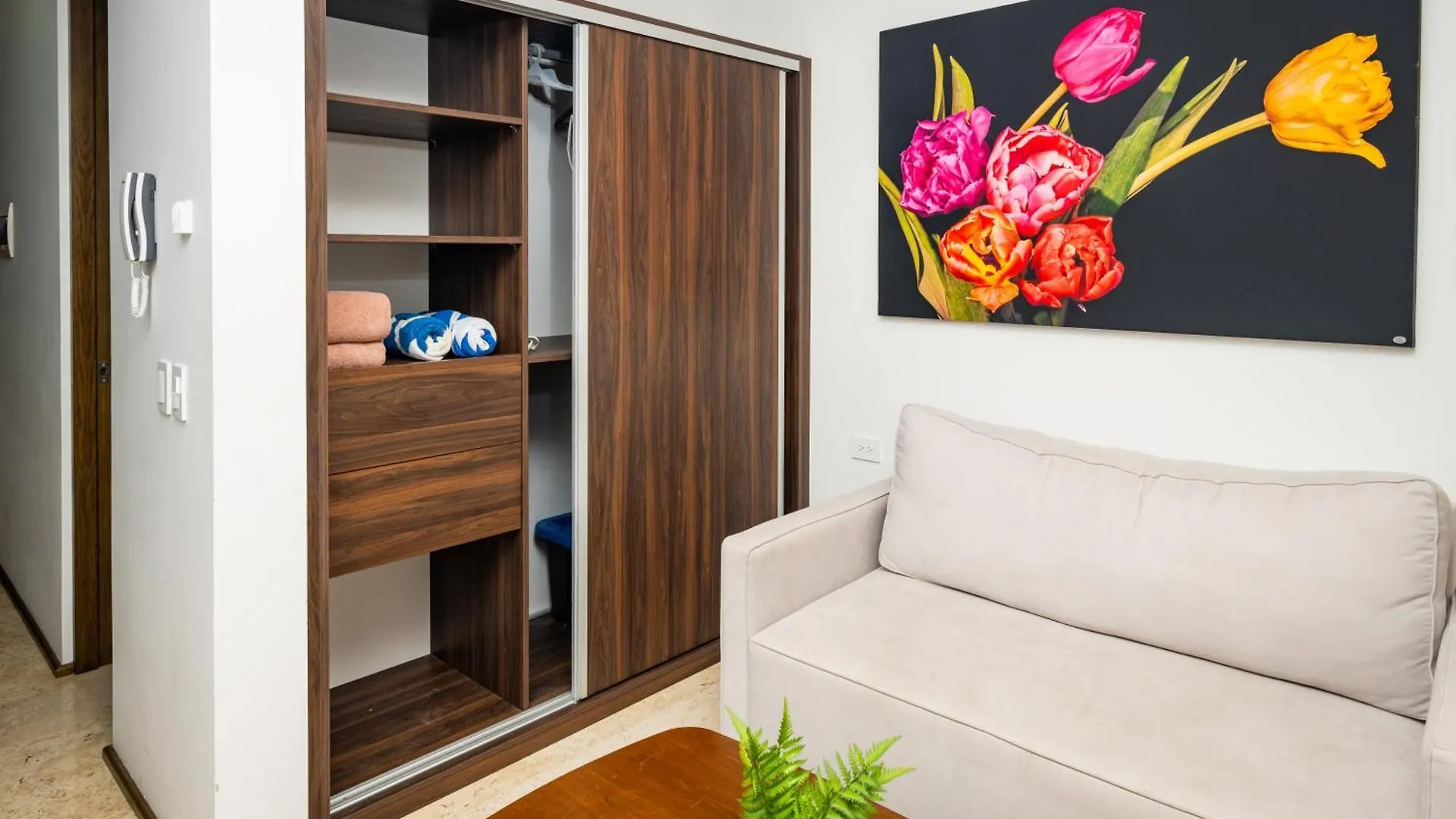 Apartment Studio Walk Distance To Wallmart And 5Ta Avenue Playa del Carmen Mexico