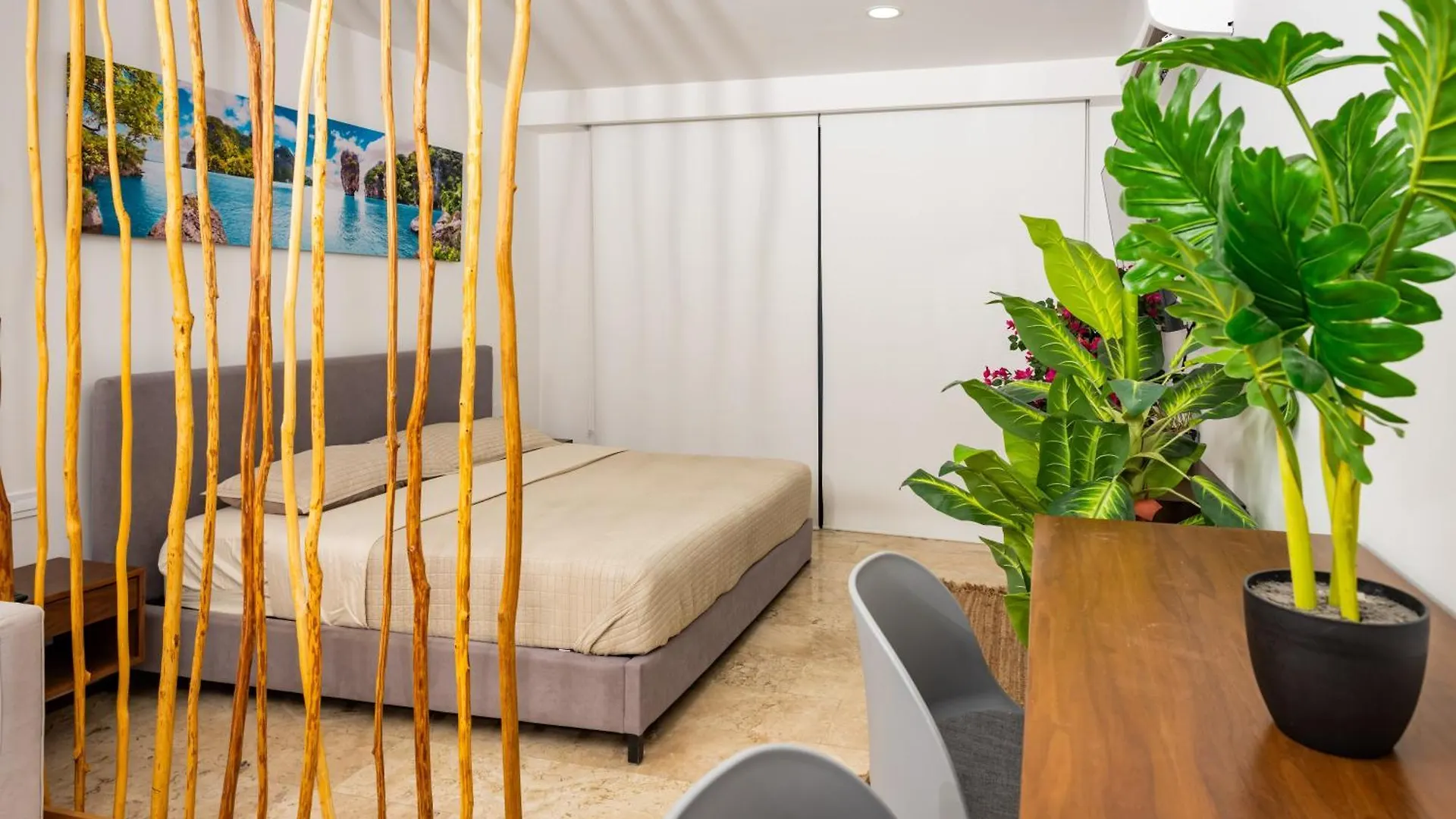 Studio Walk Distance To Wallmart And 5Ta Avenue Playa del Carmen 0*,
