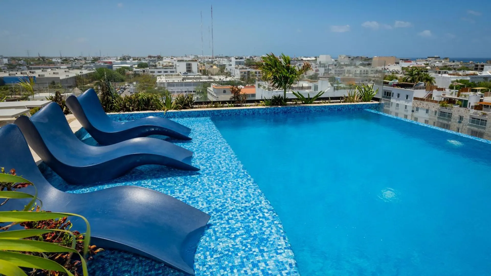 Διαμέρισμα Studio Walk Distance To Wallmart And 5Ta Avenue Πλάγια Ντελ Κάρμεν